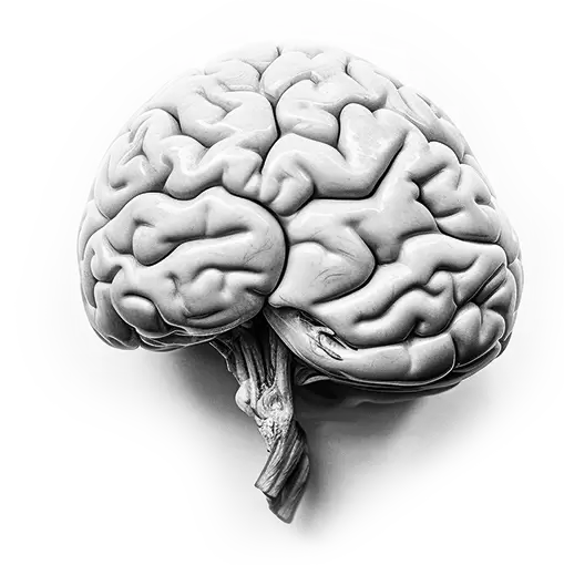 Mente e Palavra – Terapia Integrada Bíblica Recurso terapêutico cristão com aplicações clínicas para psicólogos, psicanalistas, terapeutas, conselheiros e profissionais da saúde emocional. 20 temas e 150 cards com versículos bíblicos aplicados, técnicas terapêuticas, perguntas reflexivas e suporte à escuta clínica. Integre fé e ciência com profundidade, sensibilidade e responsabilidade.